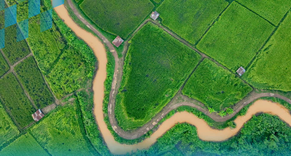 articleBanner