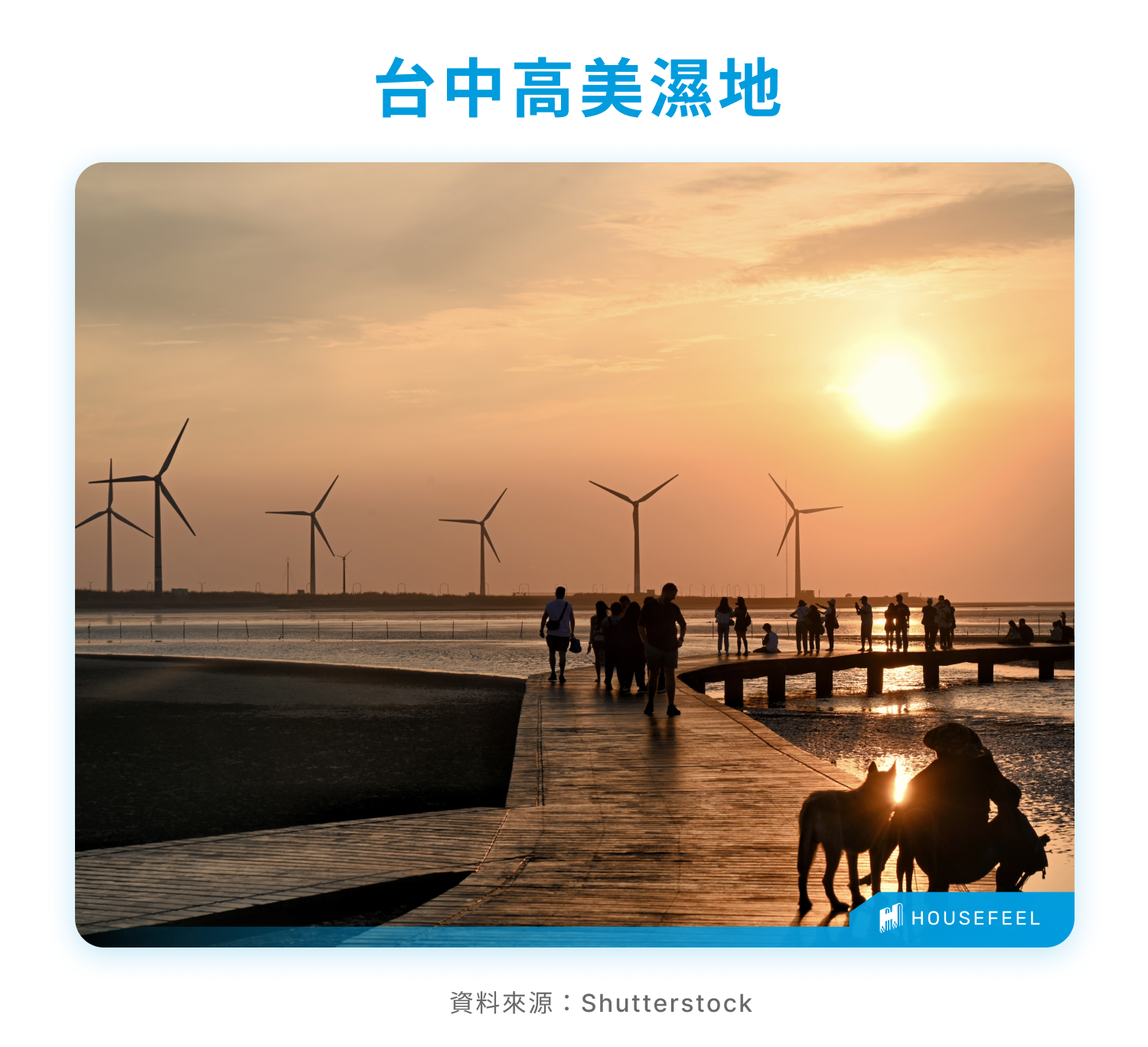 台中高美濕地