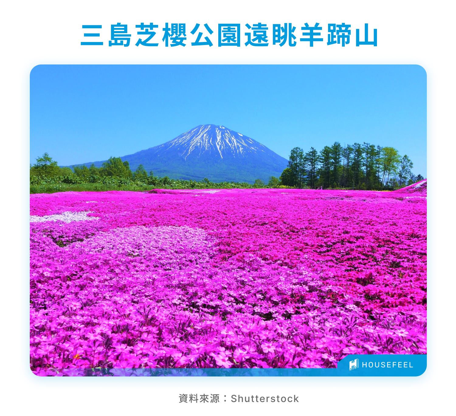 三島芝櫻公園遠眺羊蹄山